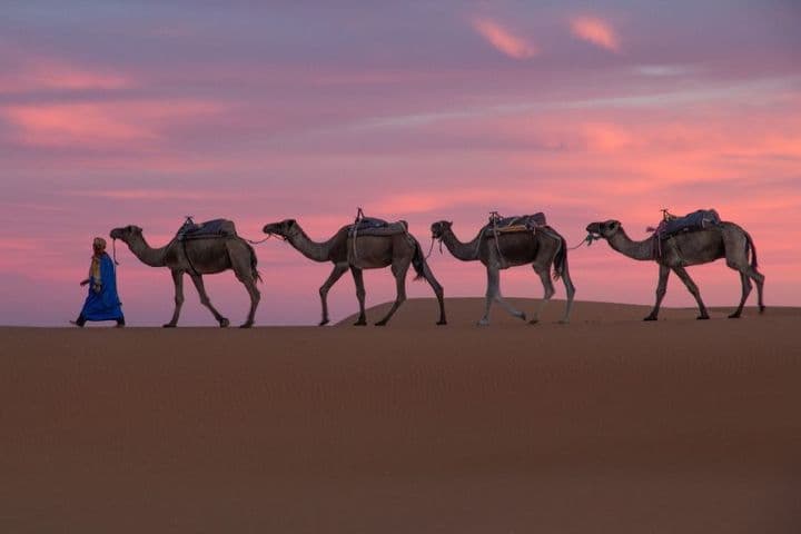 Marruecos Imperial Esencial