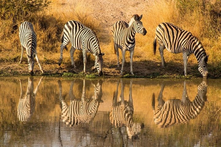 Sudáfrica: Contrastes & Maldivas
