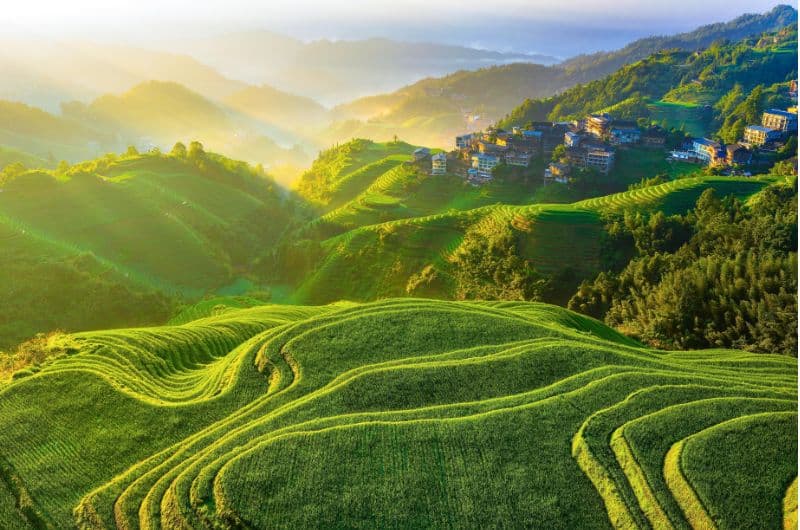 China Imperial, Zhangjiajie y Maldivas