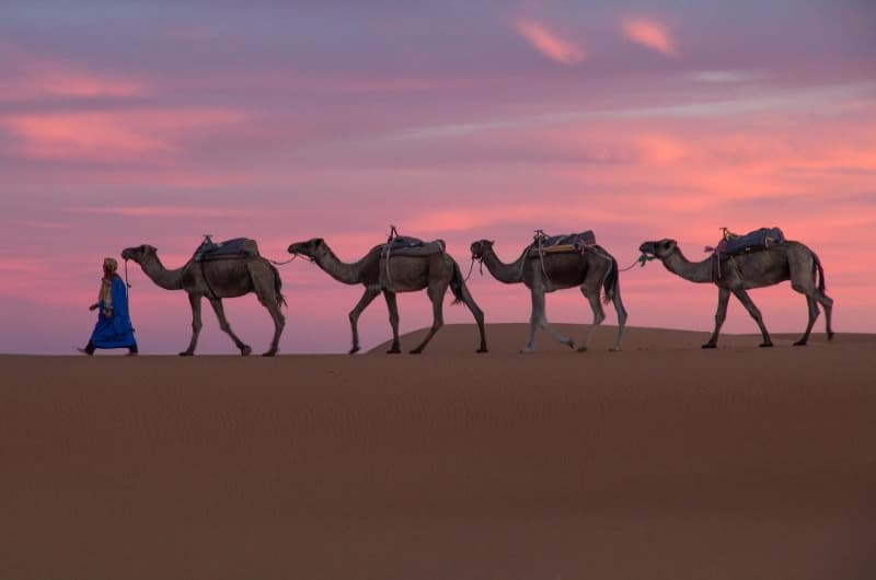 Marruecos Inédito: Ciudades Imperiales y Sahara
