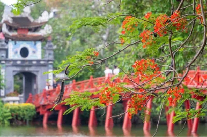 Vietnam: Tonkín & Maldivas