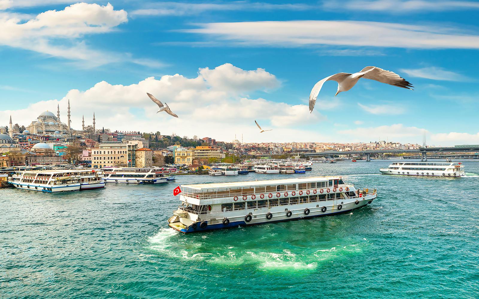 Plan Your Bosphorus Cruise Experience | A Complete Guide