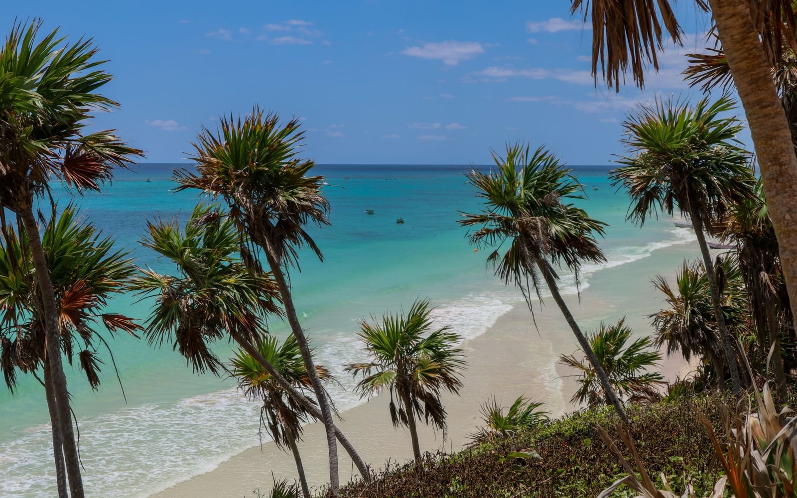 Caribe