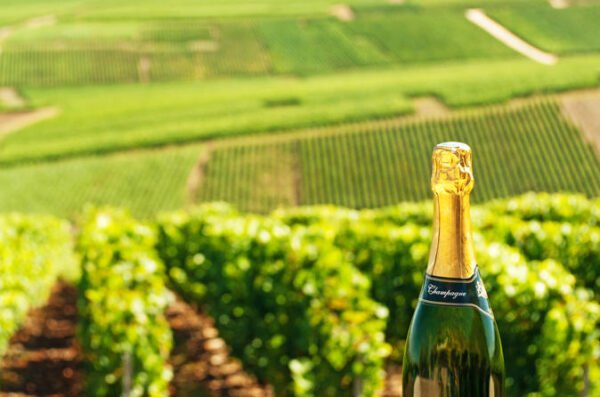 Excursión de un día a la región de lujo de Champagne desde París con visita privada a Champagne Estate París, París - Francia Duración: 10 horas  Número máximo de viajeros: 9