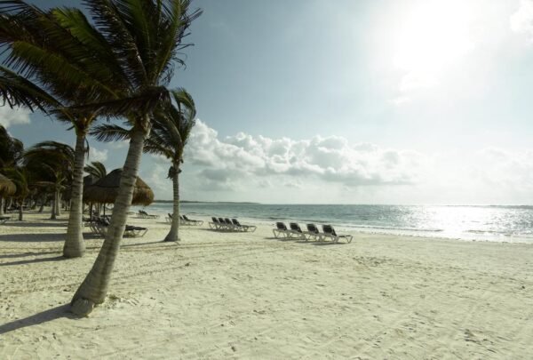 RIVIERA MAYA VERANO 2019 HOTEL GRAND PALLADIUM LUGARES CONFIRMADOS - Imagen 4