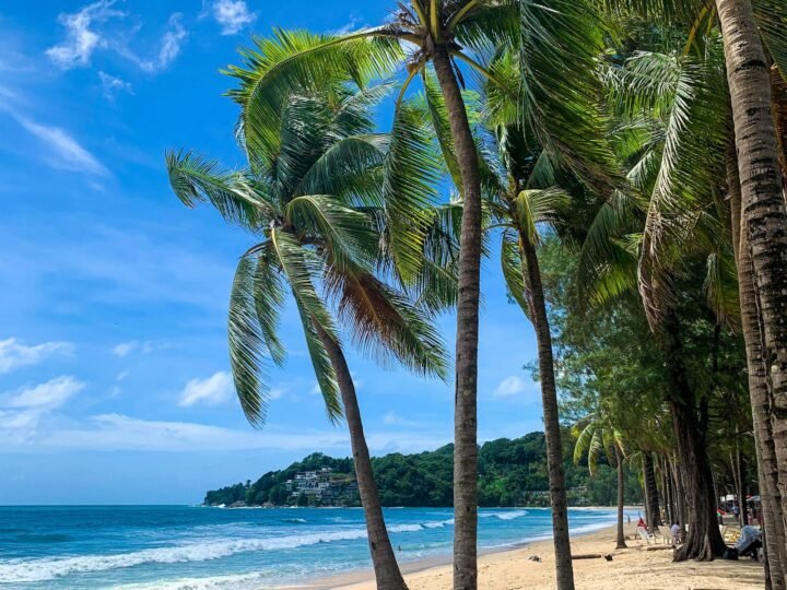 Classic Moon Súper Thai y Phuket