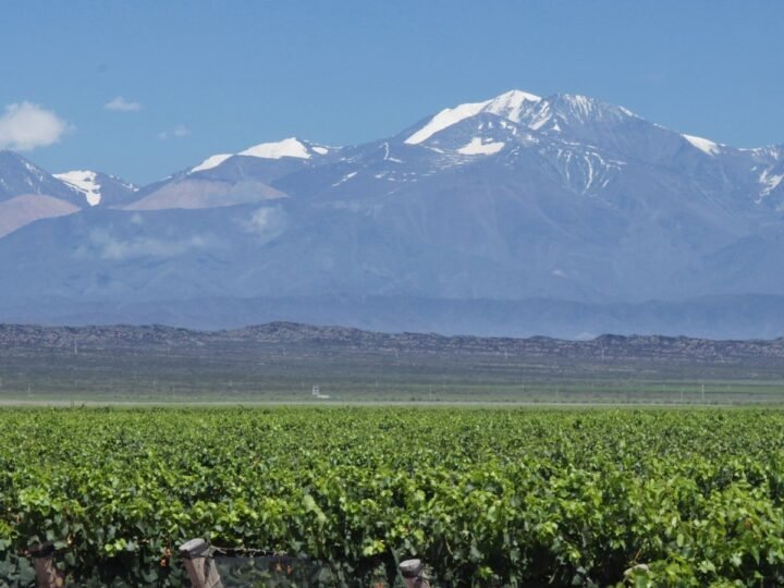 Mini Moon Mendoza: 6 días entre viñedos y montaña