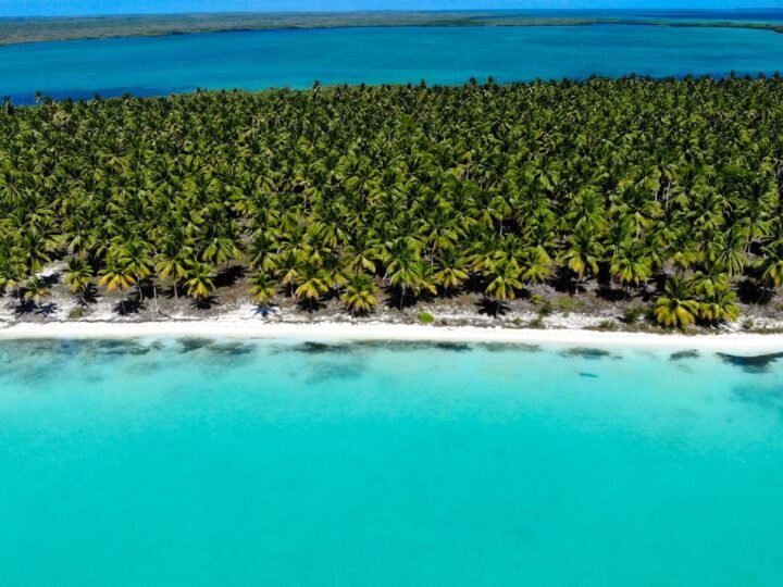Mini Moon Punta Cana: 6 días todo incluido con delfines
