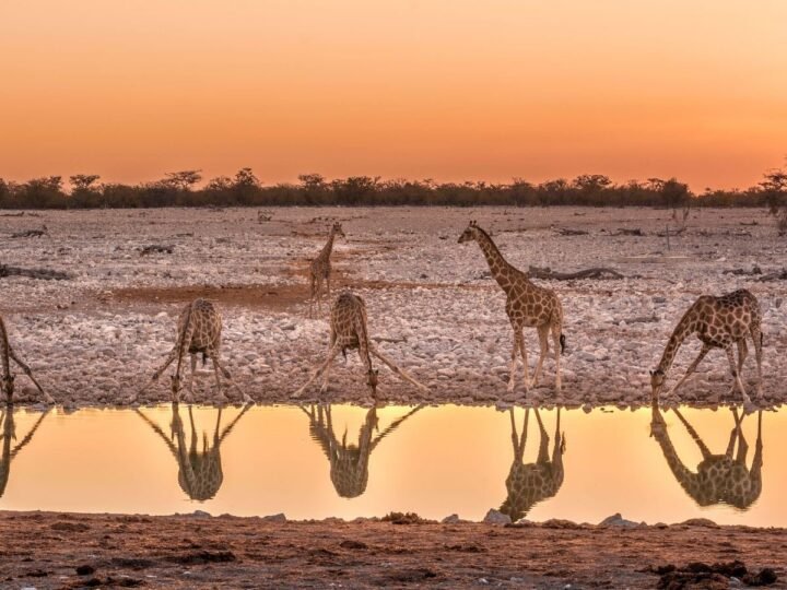 Namibia Fascinante