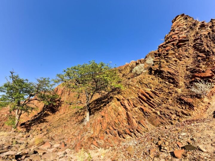 Namibia Fascinante y Desierto de Kalahari