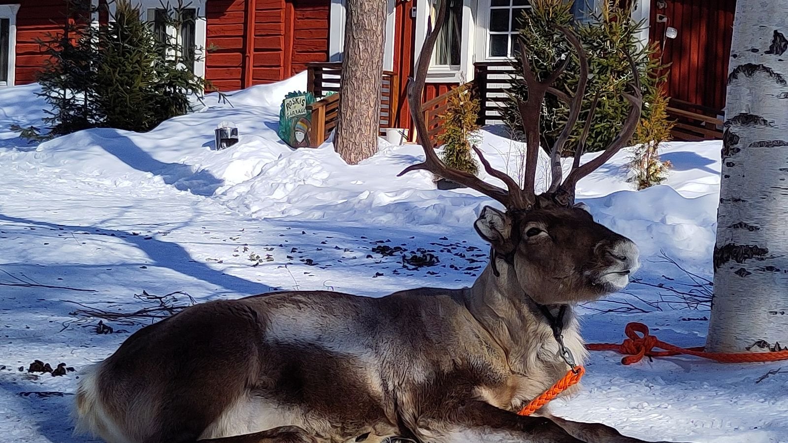 Rovaniemi y Papá Noel con un reno frente a una cabaña nevada