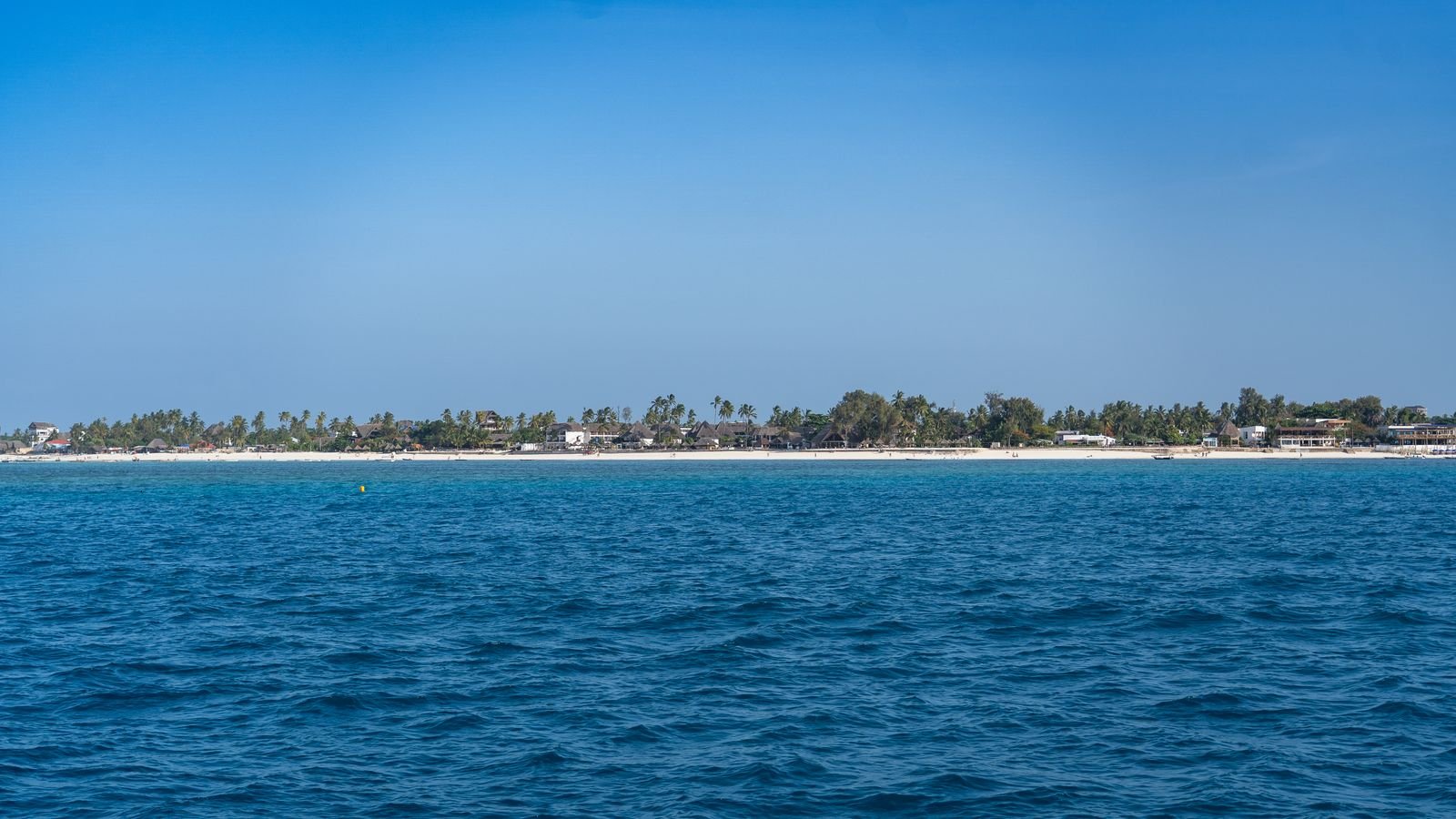 Cómo es Shimba y Zanzíbar con playa turquesa y palmeras