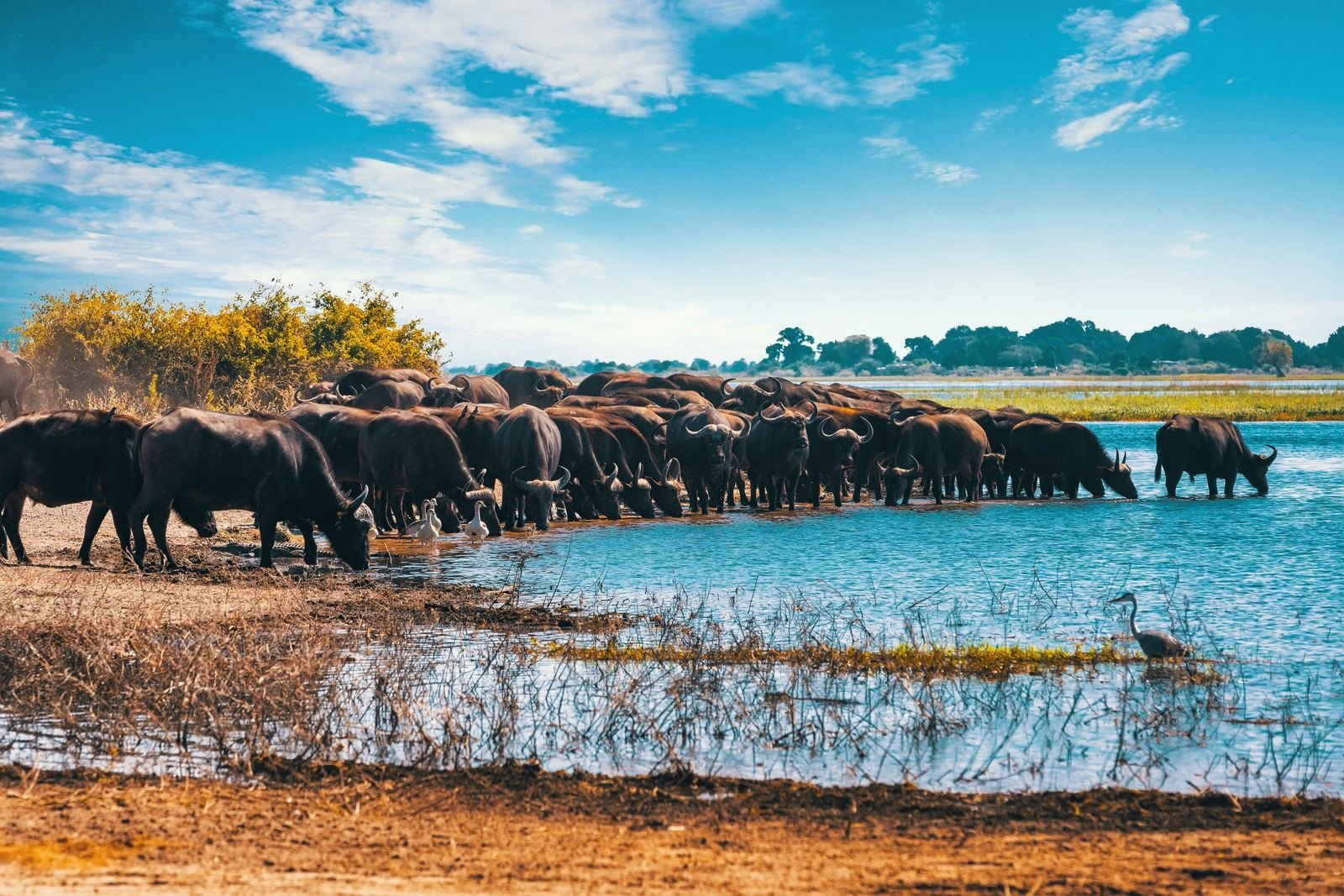 Botswana